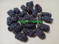 ĐẠI TÁO (Táo đen)