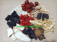 THUỐC BẮC TIỀM GÀ