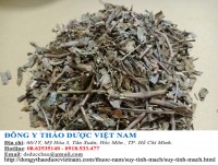 TRÀ SUY TĨNH MẠCH